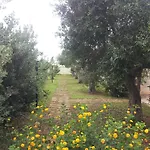 Kamp alanı Lilybeo Village
