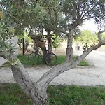 Kamp alanı Lilybeo Village